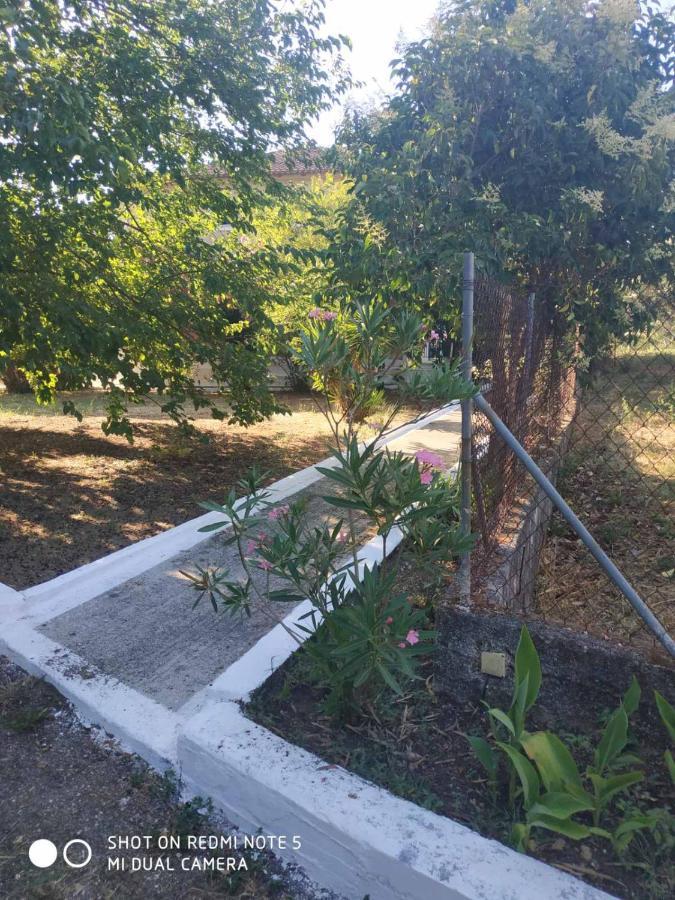 Dassia Green Apartments Εξωτερικό φωτογραφία