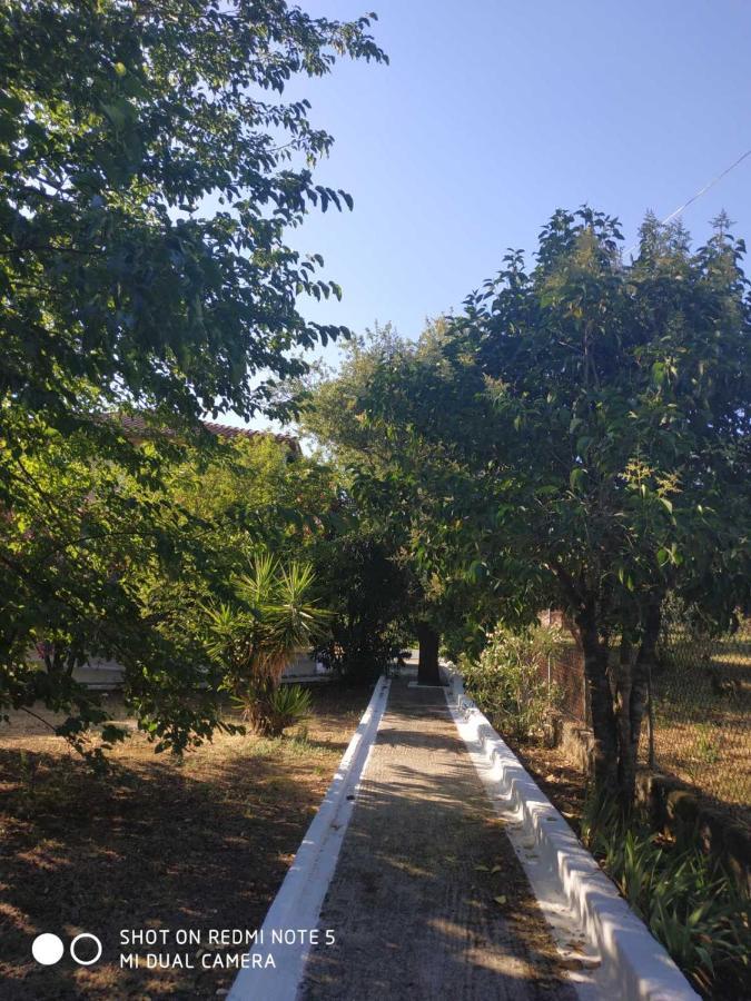Dassia Green Apartments Εξωτερικό φωτογραφία
